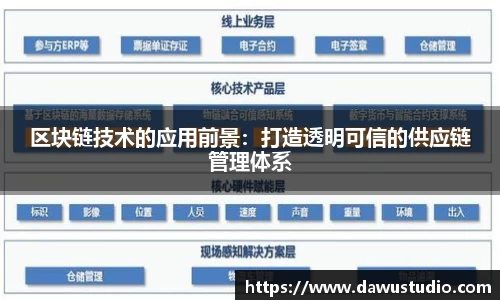 球速体育网页版登录入口