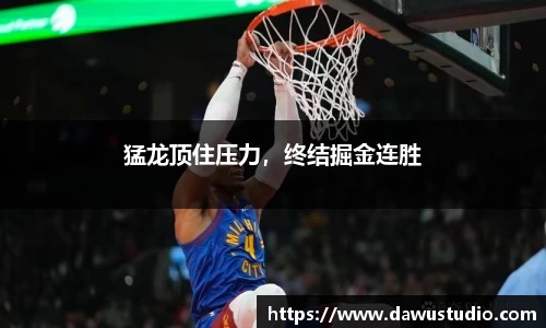 球速体育网页版登录入口