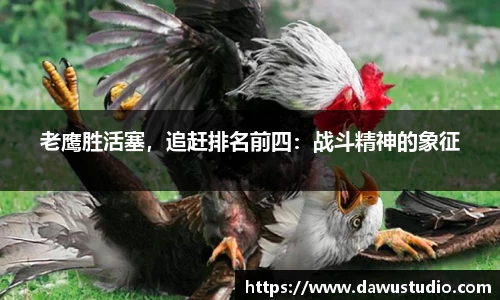 球速体育
