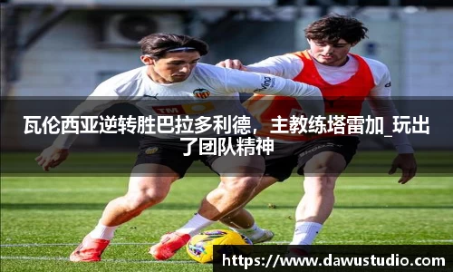 球速体育