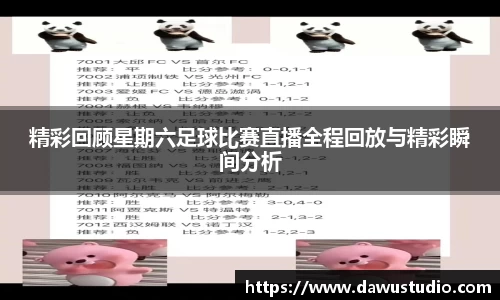 球速体育官网