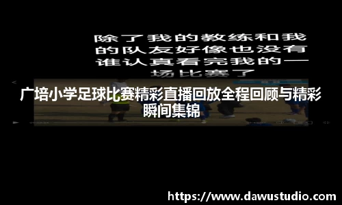 球速体育