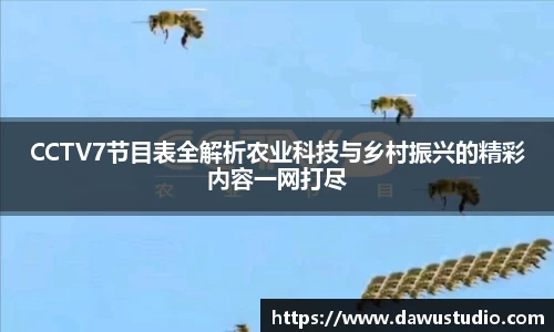 球速体育官网